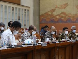 Kepala BP Batam RDP Bersama Komisi VI DPR RI di Gedung Nusantara Jakarta