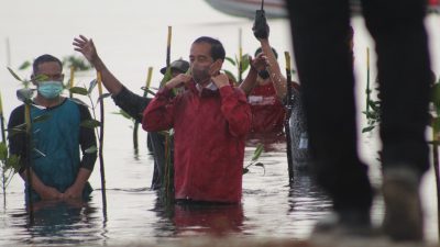 Presiden Jokowi Tanam Mangrove di Pantai Setokok Batam