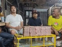 Jual Merpati Rp1,5 Miliar, Juned Kaya Mendadak