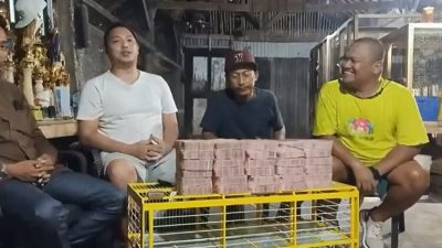 Jual Merpati Rp1,5 Miliar, Juned Kaya Mendadak