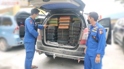 Hendak Seludupkan 1.200 Burung Kacer ke Lampung, Seorang Pria di Siak Diciduk Polisi