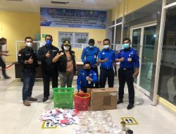 Ditpam BP Batam Gagalkan Pengiriman Tokek dan Tarantula Tanpa Dokumen Tujuan Pekanbaru