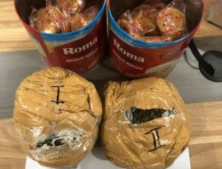 Tim Cyber Crawling Bea Cukai Batam Kembali Gagalkan Penyeludupan 765 Gram Ganja