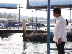 Cek Pelabuhan Pancung Sekupang, Wako Batam Perintahkan Dishub Segera Perbaiki Fasilitas