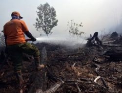 Kabupaten Kepulauan Meranti Tetapkan Status Siaga Darurat Karhutla