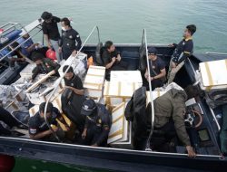 Bea Cukai Kepri Gagalkan Penyeludupan Benih Lobster Senilai Rp14 Miliar