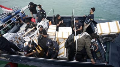 Bea Cukai Kepri Gagalkan Penyeludupan Benih Lobster Senilai Rp14 Miliar