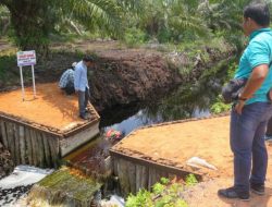 Badan Restorasi Gambut Akan Bangun 120 Sekat Kanal di Riau