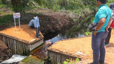 Badan Restorasi Gambut Akan Bangun 120 Sekat Kanal di Riau