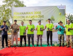 Peringati Hari Lingkungan Hidup, Ribuan Bibit Mangrove Ditanam di Dumai