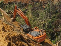 DLHK Diminta Tindak Tegas Pelaku Perambah TNBT