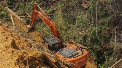 DLHK Diminta Tindak Tegas Pelaku Perambah TNBT