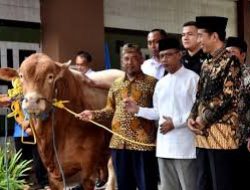 Presiden Jokowi Salurkan Hewan Kurban ke 34 Provinsi