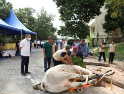 Momen Idul Adha 1443 H, BP Batam Sembelih Hewan Qurban