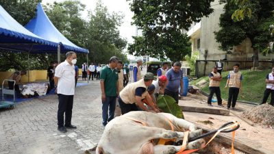 Momen Idul Adha 1443 H, BP Batam Sembelih Hewan Qurban