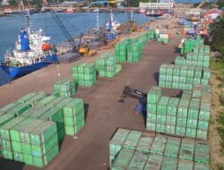 Investasi Capai 6 Triliun, Batam Sumbang 79,16 Persen Realisasi PMA di Kepri
