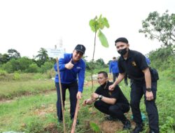 Pohon Jati Emas Mulai Ditanam di Jalan Menuju Bandara Hang Nadim Batam