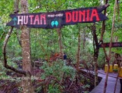 Riau Punya Potensi Besar Bantu Indonesia Capai Serapan Karbon 140 Juta Ton pada 2030