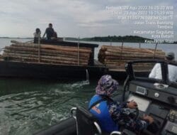 Polisi Tangkap Kapal Pengangkut Kayu Ilegal di Perairan Batam