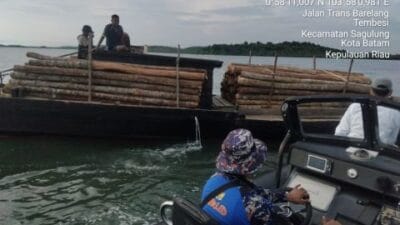 Polisi Tangkap Kapal Pengangkut Kayu Ilegal di Perairan Batam