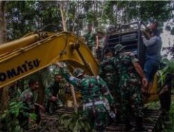 Tim Gabungan Tangkap Alat Berat Perambah Hutan di Giam Siak Kecil