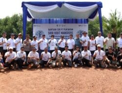 Program TJSL PLN Batam Tanam 5.000 Bibit Mangrove di Hutan Mangrove Tanjung Piayu