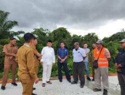 Pedestrian Jalan Bandara RHF Tanjungpinang Bakal Ditanam Bunga Sakura, Tanjung dan Pohon Pinang