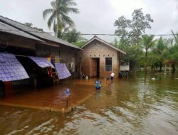 BPBD Catat Ribuan Warga Terdampak Banjir Rob di Bintan