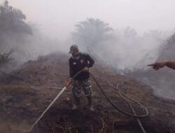 Riau Petakan 134 Kecamatan Rawan Kebakaran