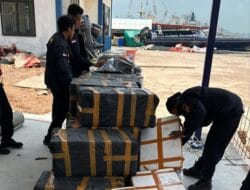 Bea Cukai Batam Gagalkan Penyeludupan Benih Baby Lobster Senilai Rp9 Miliar