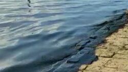 Muhammadiyah Minta Pemerintah Berikan Sanksi Tegas ke Perusahaan Pencemar Laut Kepri