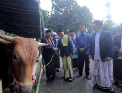 Pastikan Kualitas Daging, Wakil Wali Kota Tangerang Tinjau Pemotongan Hewan Kurban