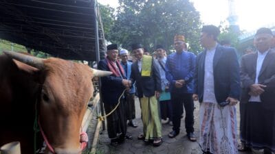 Pastikan Kualitas Daging, Wakil Wali Kota Tangerang Tinjau Pemotongan Hewan Kurban