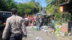Akibat Muatan Berlebihan, Mobil Pickup Terguling di Jalur Puncak Bogor