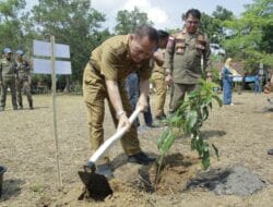 Hari Lingkungan Hidup, Pj Bupati Bersama Forkopimda Tuba Taman 8.730 Pohon