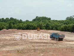 Miris, Mangrove di Tiban Mentarau Batam Ditimbun untuk Pembukaan Lahan