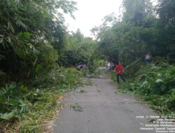 Ciptakan Lingkungan Bersih, Masyarakat Desa Manduamas Lama Laksanakan Gotong Royong