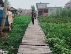Kurang Perhatian Pemerintah, Warga Keluhkan Kondisi Jembatan Bambu di Ogan Baru