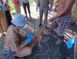 Ayo Ikuti Kegiatan Vaksinasi Rabies Gratis di Pekanbaru, Ini Lokasinya