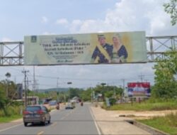 Langgar Aturan, Papan Reklame Bando di Bintan Tak Kunjung Ditertibkan