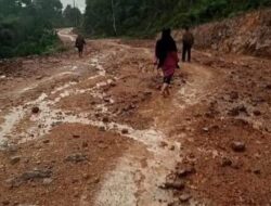 Banyak Makan Korban, Jalan Rusak di Dusun Serteh Lingga Minim Perhatian Pemprov Kepri