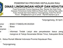 Penimbunan Mangrove Marak di Bintan, RMI Pertanyakan Komitmen Gubernur dan DLHK Kepri