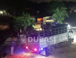 BKHIT Kepri Diduga Kecolongan, Puluhan Ekor Sapi Masuk Melalui Pelabuhan Rakyat Punggur Batam