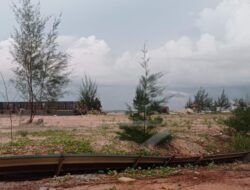 Ramai soal Status Lahan Golden Prawn, PSDKP Batam Sebut Bakal Konfirmasi ke KLHK