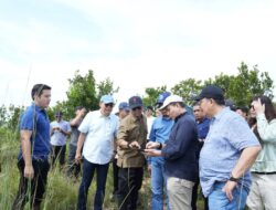 Tinjau Pembangunan Hunian Baru Masyarakat Rempang, Deputi Kemenko Polhukam Optimis Rampung Sesuai Dengan Target