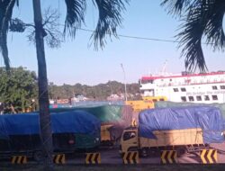 Soal Truk ODOL di Pelabuhan ASDP Roro Telaga Punggur, BPTD Kepri: Operator Harus Lakukan Himbauan kepada Supir