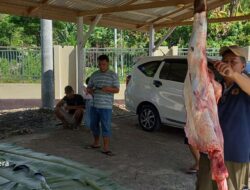 ATR/BPN Kantah Buol Salurkan Daging Hewan Kurban
