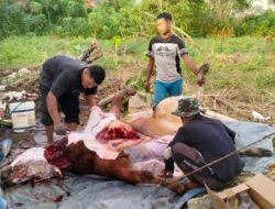 Masjid Al Hidayah Pekanbaru Bagikan Daging Kurban ke Masyarakat