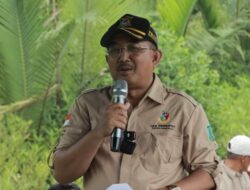 Panen Perdana Padi Inbrida Infari di Tanjung Senjulang, Bupati Tanjab Barat Komitmen Majukan Petani