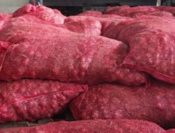 Bawang Impor Ilegal Diduga Marak Masuk ke Batam